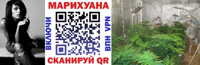 Бошки марихуана Ganja  Рошаль 
